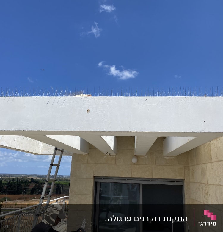 דוקרנים על גג למניעת קינון יונים